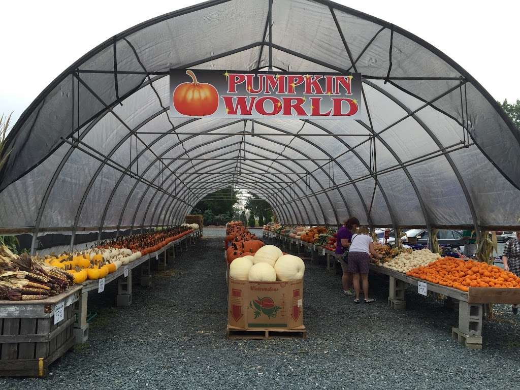 Chapel Hills Nursery | 4350 Chapel Rd, Perry Hall, MD 21128 | Phone: (410) 256-5335