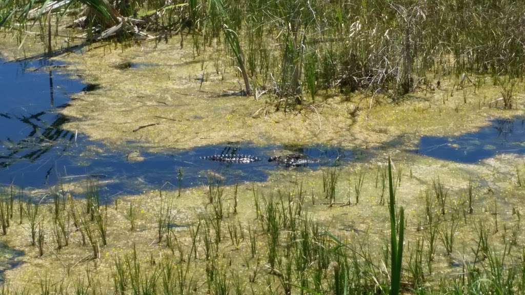 Lake Apopka Historical Pump House | Lake Apopka Loop Trail, Apopka, FL 32703