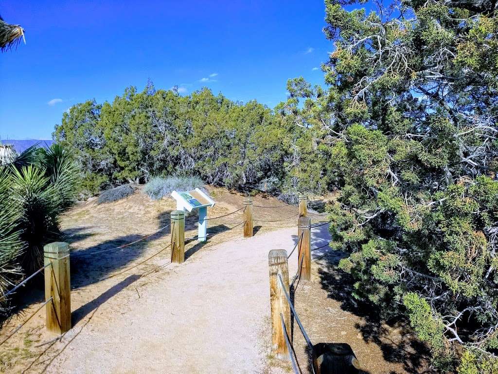 Prime Desert Woodland Preserve | 43201 35th St W, Lancaster, CA 93536, USA | Phone: (661) 723-5928