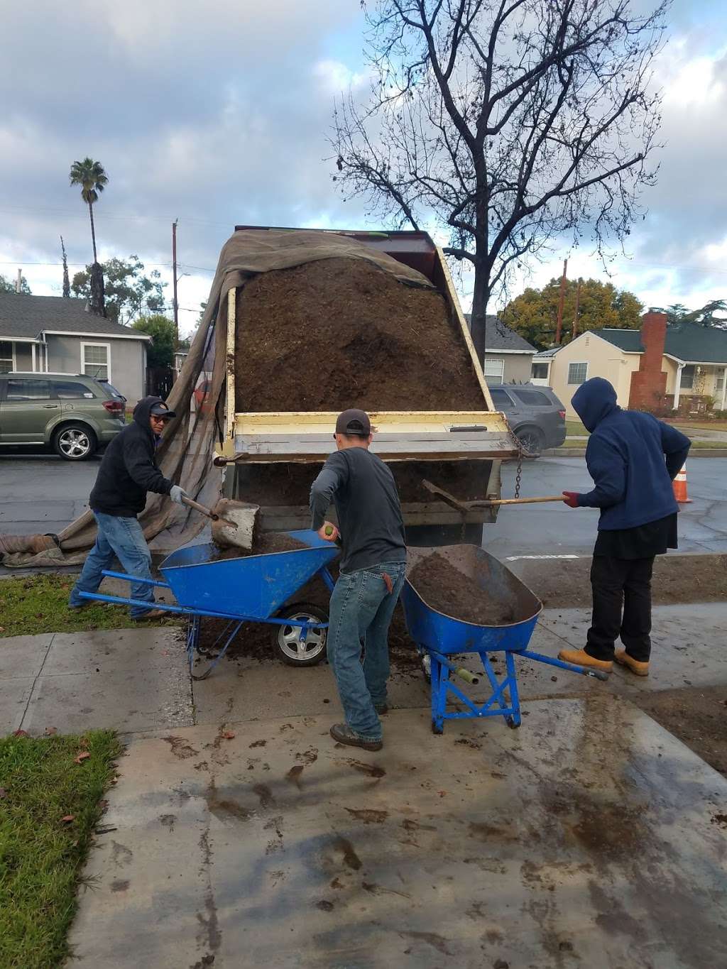 RotoTillerGuy ; Landscape Contractor | Sod | Sprinkler Installat | 17210 Prairie Ave, Torrance, CA 90504 | Phone: (310) 405-9280