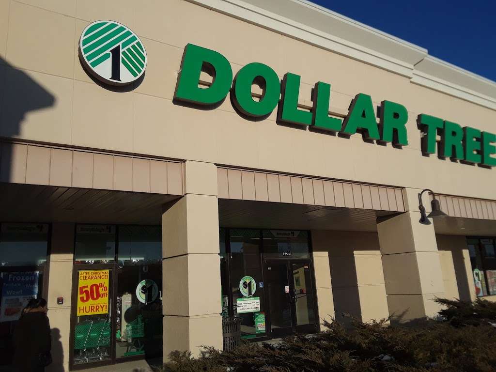 Dollar Tree | 3208 Kirchoff Rd, Rolling Meadows, IL 60008 | Phone: (847) 506-0139