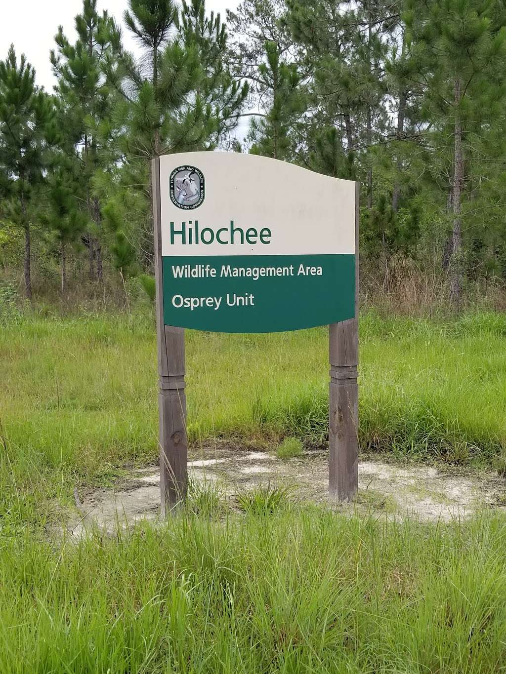 Osprey Unit, Hilochee Wildlife Management Area - Olivers Trail | 10701 Old Grade Rd, Polk City, FL 33868, USA | Phone: (863) 648-3200