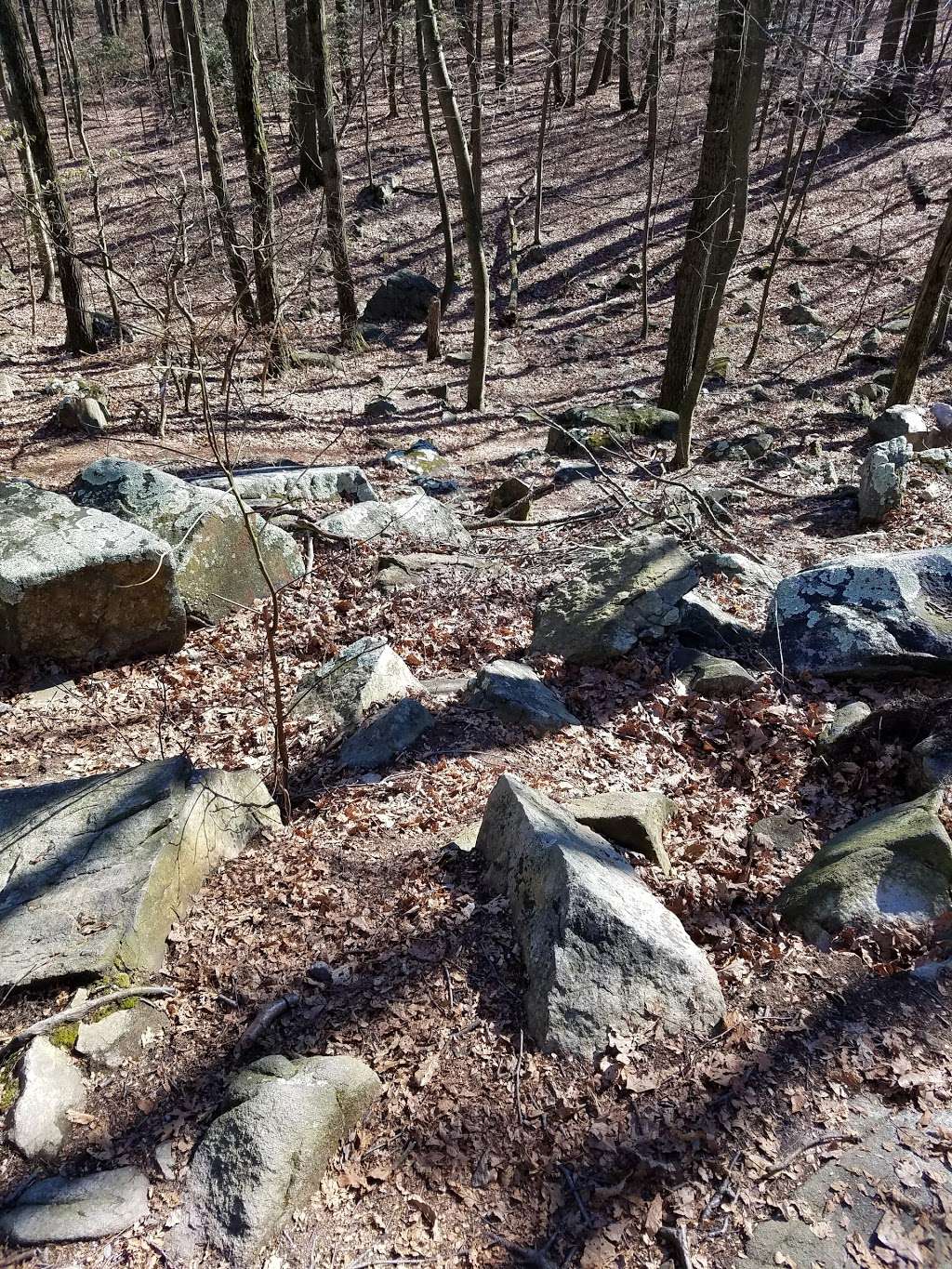 Money Rocks County Park | 936 Narvon Rd, Narvon, PA 17555, USA | Phone: (717) 299-8000