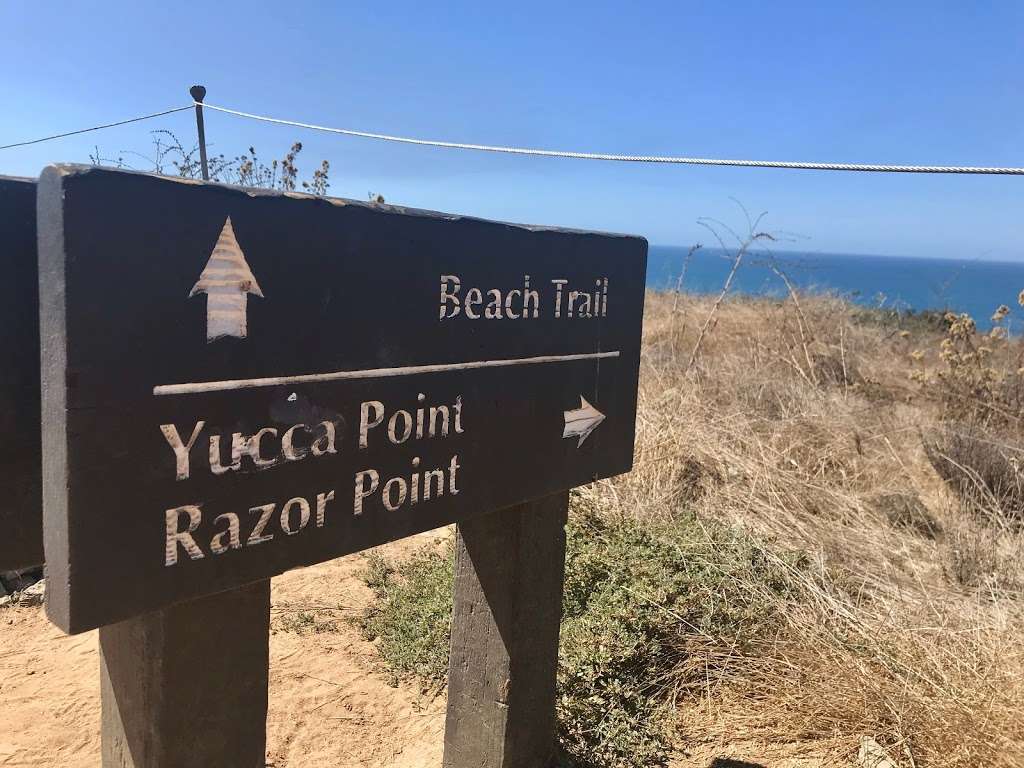 Beach Trailhead | 12599 Torrey pines park Rd, La Jolla, CA 92037, USA