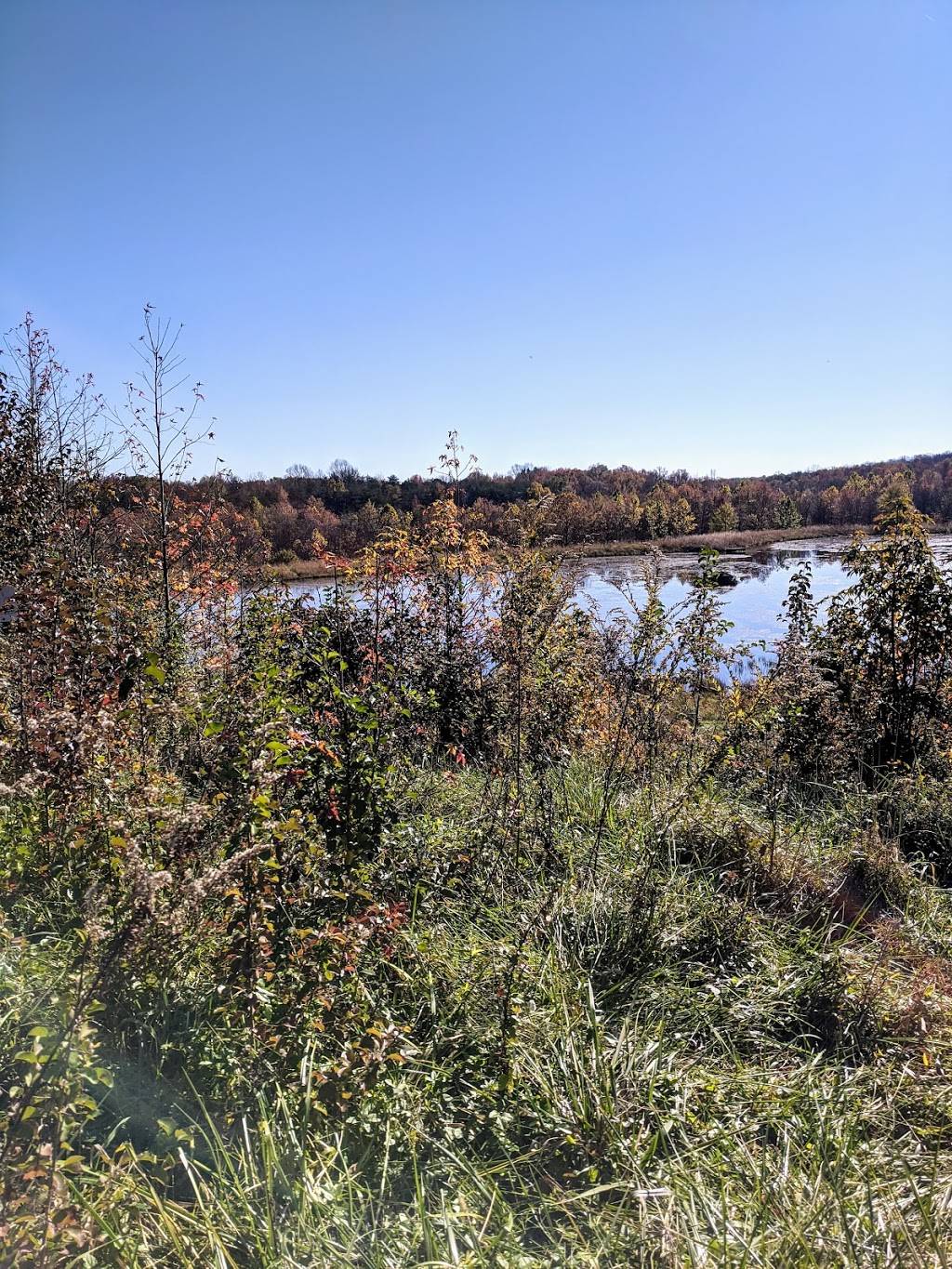 Patuxent Research Refuge - North Tract Visitor Center | 230 Bald Eagle Dr, Laurel, MD 20724 | Phone: (301) 497-5770