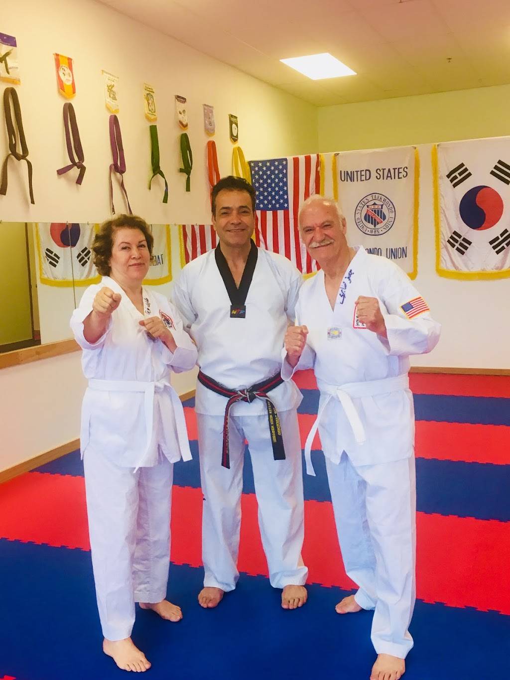 Top Tae Kwon Do Institute | 12351 Champlin Dr, Champlin, MN 55316, USA | Phone: (612) 327-6845