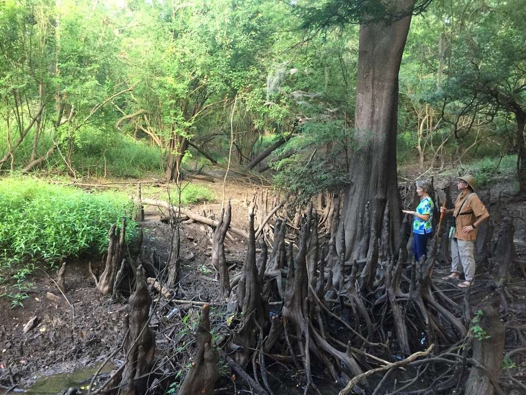 Crickets Corner Scenic View, Trinity River National Wildlife Re | Liberty, TX 77575, USA | Phone: (936) 336-9786