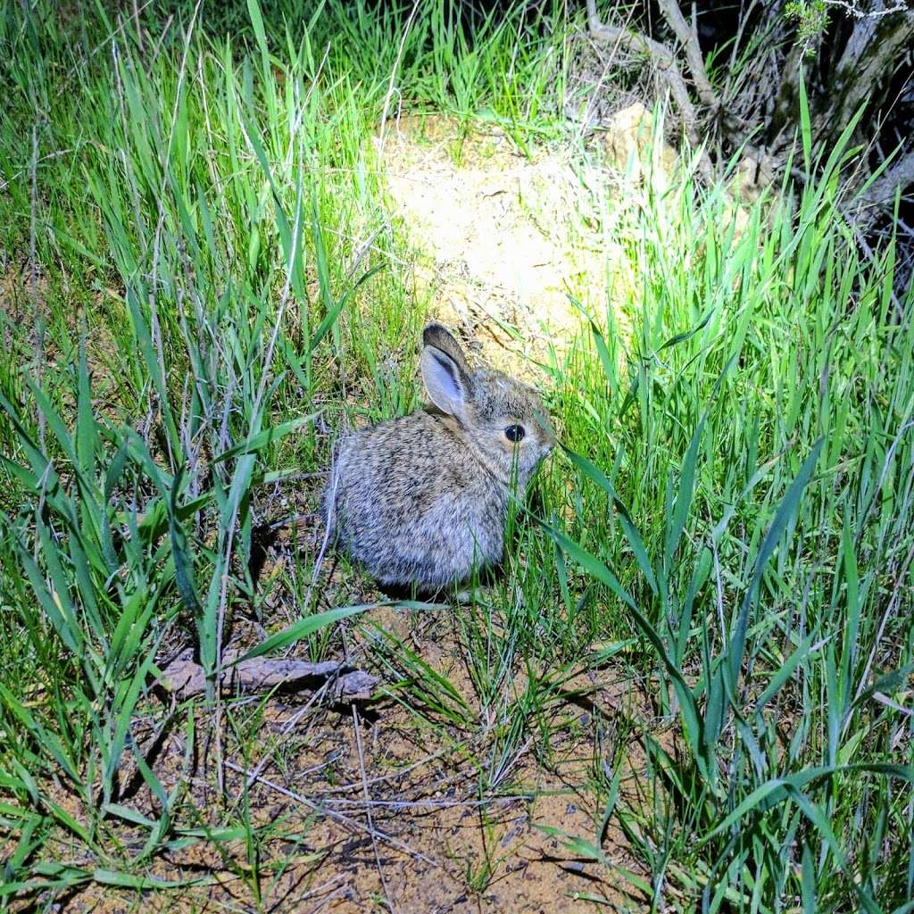 Hope Nature Preserve | Thousand Oaks, CA 91320 | Phone: (805) 381-2741