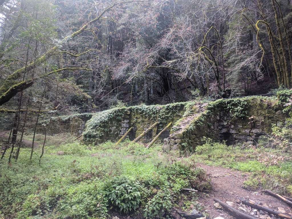 Redwood Hike Trail | Bennett Creek Trail, Felton, CA 95018, USA