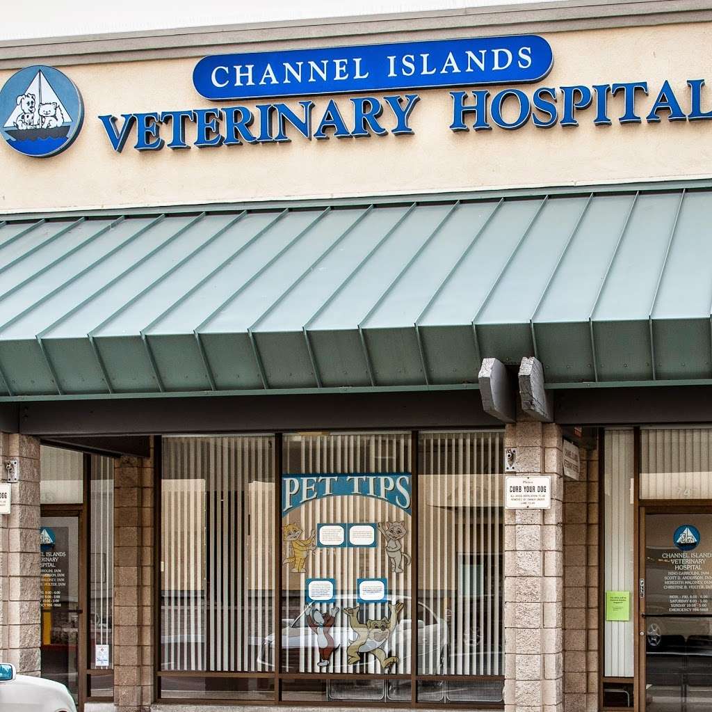 Channel Islands Veterinary Hospital | 741 W Channel Islands Blvd, Port Hueneme, CA 93041 | Phone: (805) 984-9868