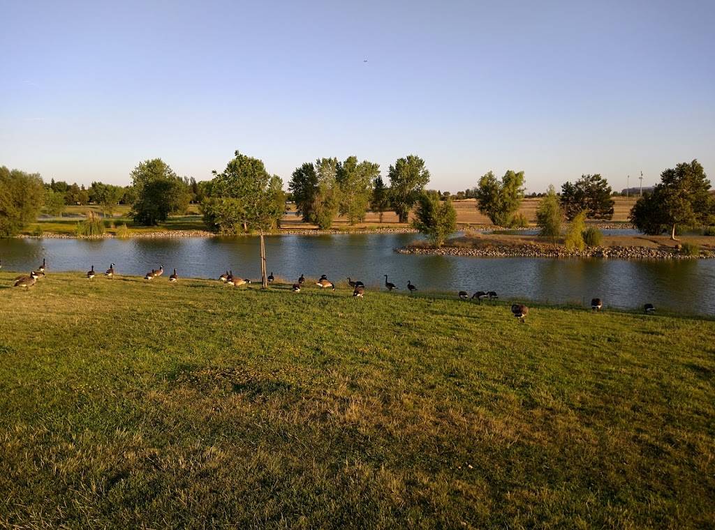 North Natomas Regional Park | 4989 Natomas Blvd, Sacramento, CA 95835, USA | Phone: (916) 705-5751