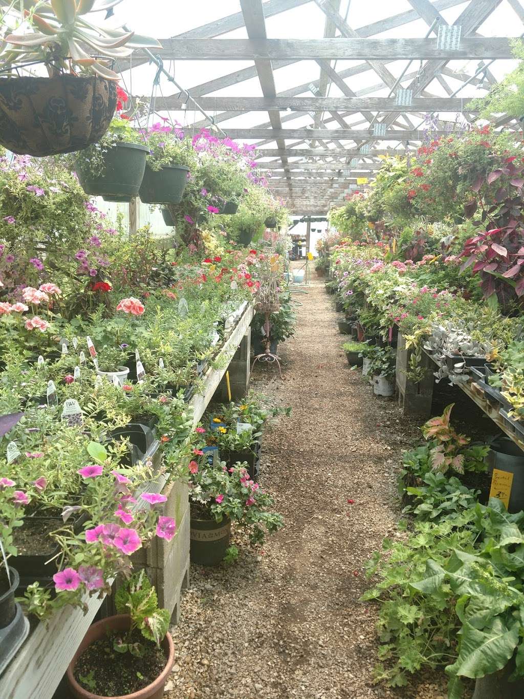 Flower & Herb Barn Nursery | 5171 Bean Blossom Rd, Nineveh, IN 46164, USA | Phone: (812) 988-7232