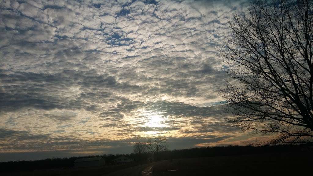 Notorious Speed & Customs | 15184 Jarrell Rd, Goldsboro, MD 21636, USA | Phone: (410) 482-9187