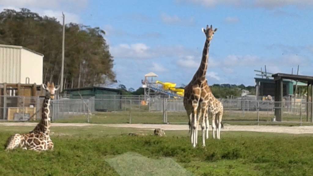 Moniques Cinema | 17882 Prado Blvd, Loxahatchee, FL 33470, USA | Phone: (954) 658-1344