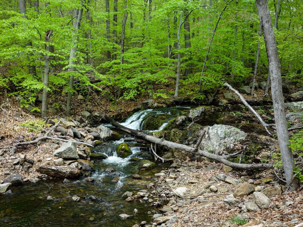 Beach Trail Parking | Stony Point, NY, United States