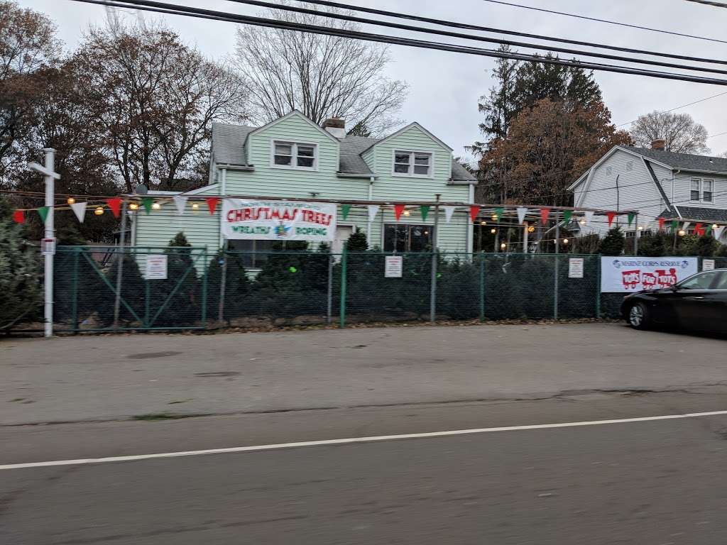 North Stamford Christmas Trees | 1392 High Ridge Rd, Stamford, CT 06903, USA | Phone: (203) 952-3797