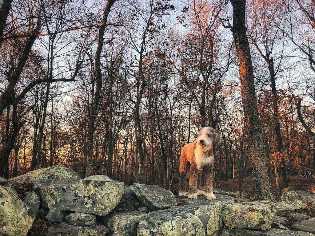 Ruins, Stone Fort | Knoxville, MD 21758, USA