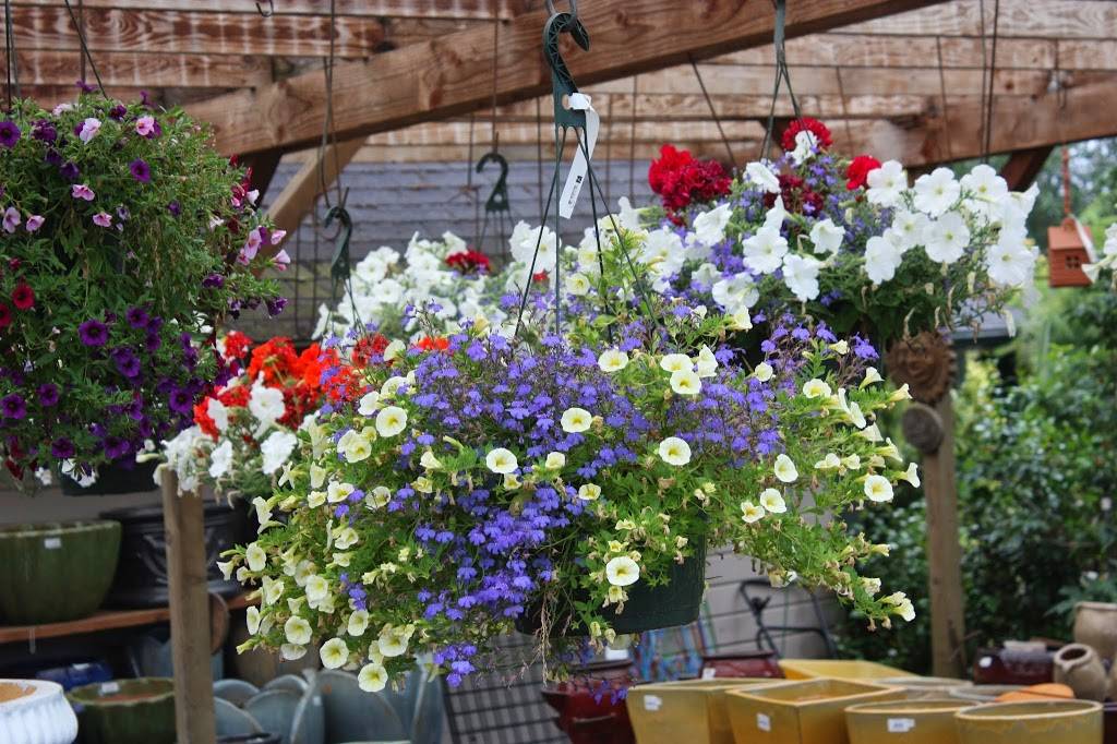 Loen Nursery Garden Center | 18710 SW Pacific Dr, Sherwood, OR 97140, USA | Phone: (503) 625-2222