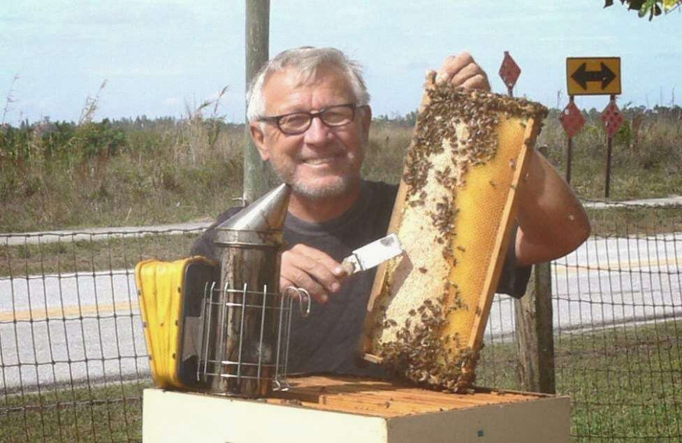 Bee Removal Beekeepers | 13925 50th Pl N, West Palm Beach, FL 33411, USA | Phone: (561) 531-9708