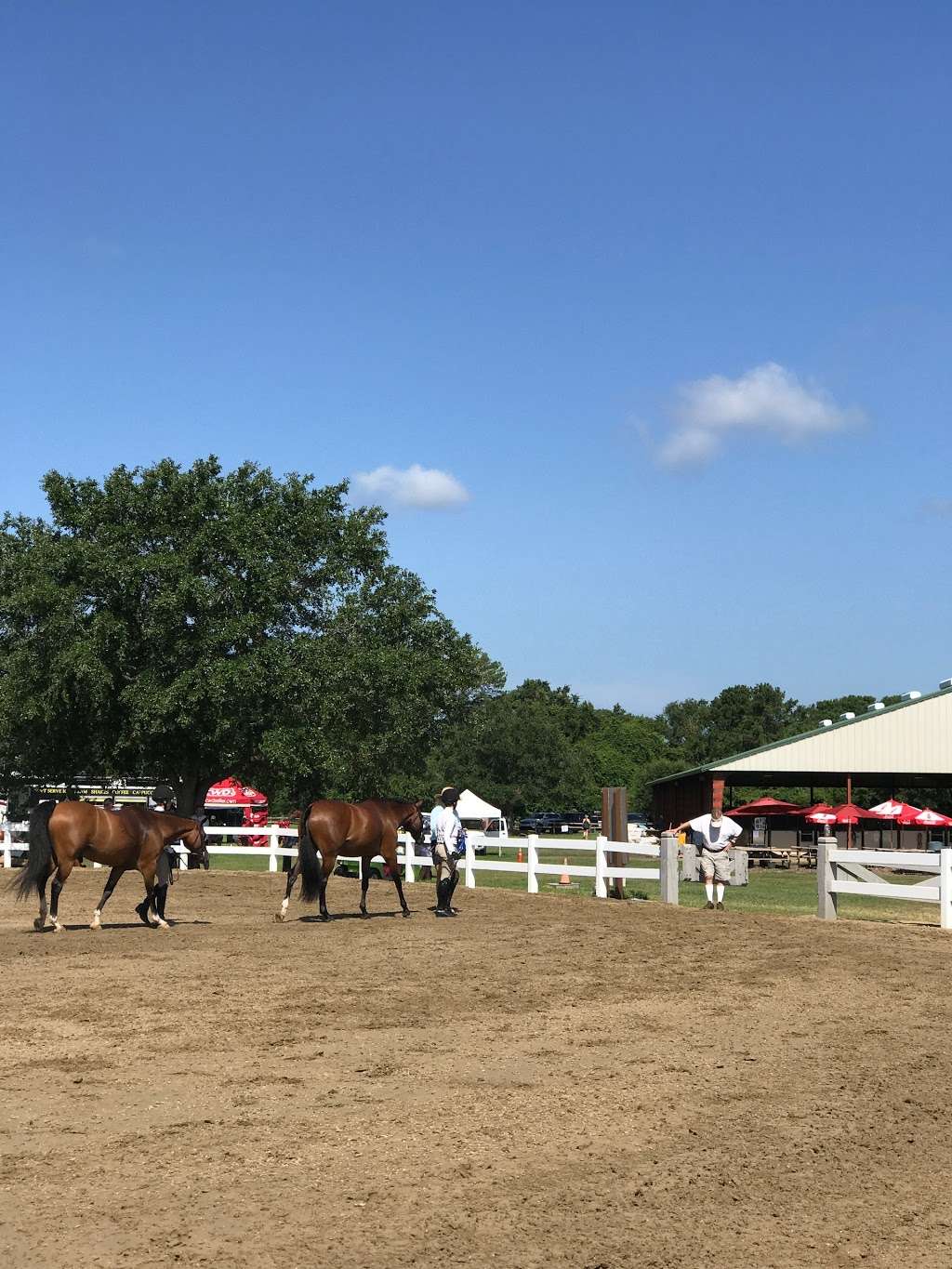 Hunter Creek Farm | 6300 Melaleuca Rd, Southwest Ranches, FL 33330, USA | Phone: (954) 444-2427