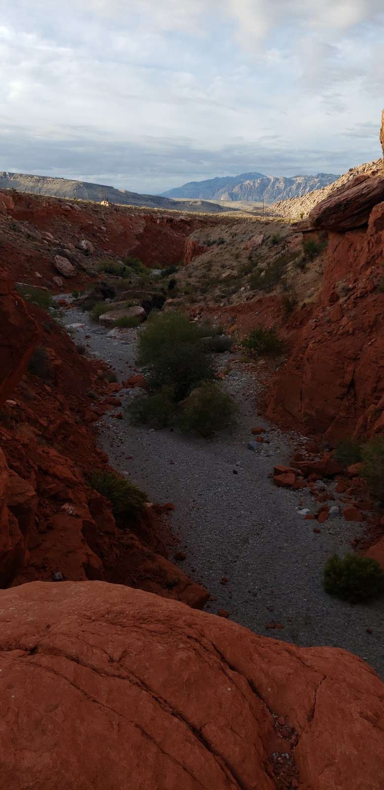 Red Drop Basin | Las Vegas, NV 89161, USA