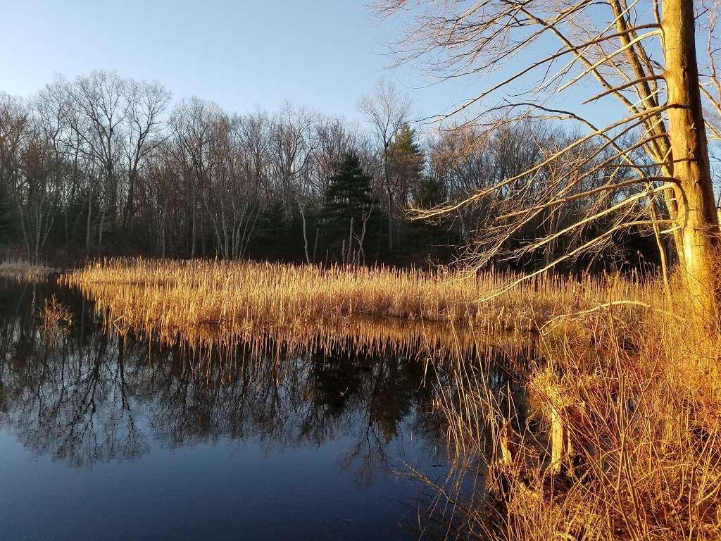 DelCarte Conservation Area | Pleasant St, Franklin, MA 02038, USA