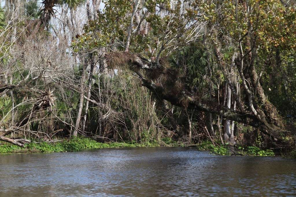 Lower Wekiva River Preserve State Park | 8300 FL-46, Sanford, FL 32771, USA | Phone: (407) 884-2009