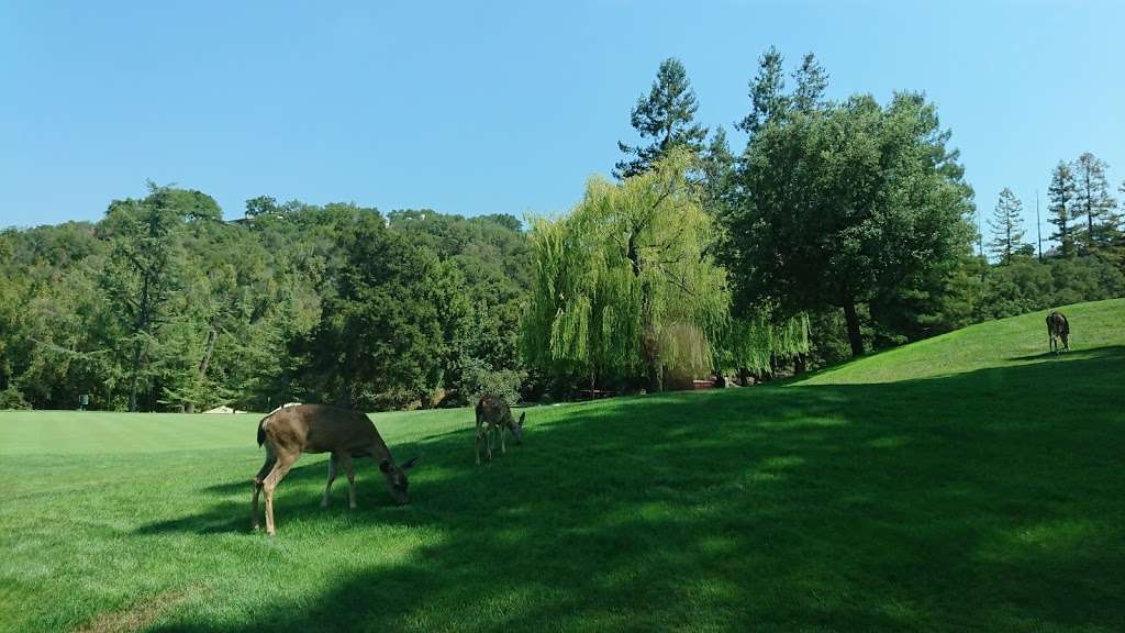 Saratoga Country Club | 21990 Prospect Rd, Saratoga, CA 95070, USA | Phone: (408) 253-0340