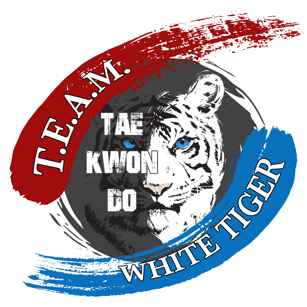 T.E.A.M. White Tiger Martial Arts | 131 Hall Rd Suite 131-B, Seagoville, TX 75159, USA | Phone: (469) 971-8711