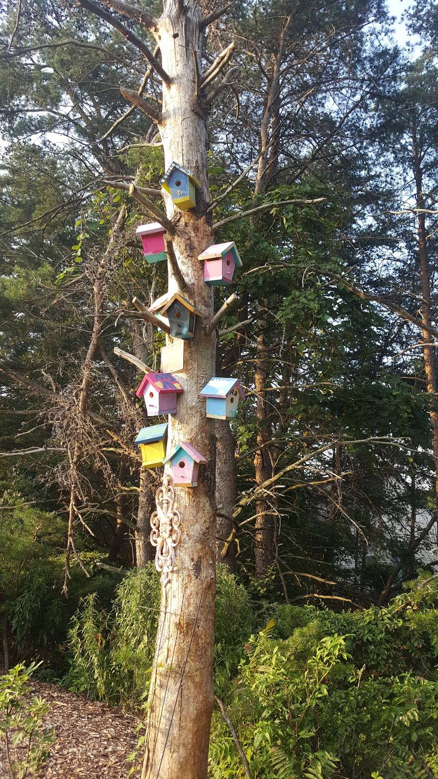 Gibbsboro Community Garden in 1000 Pole Hill Park Dr, Gibbsboro, NJ
