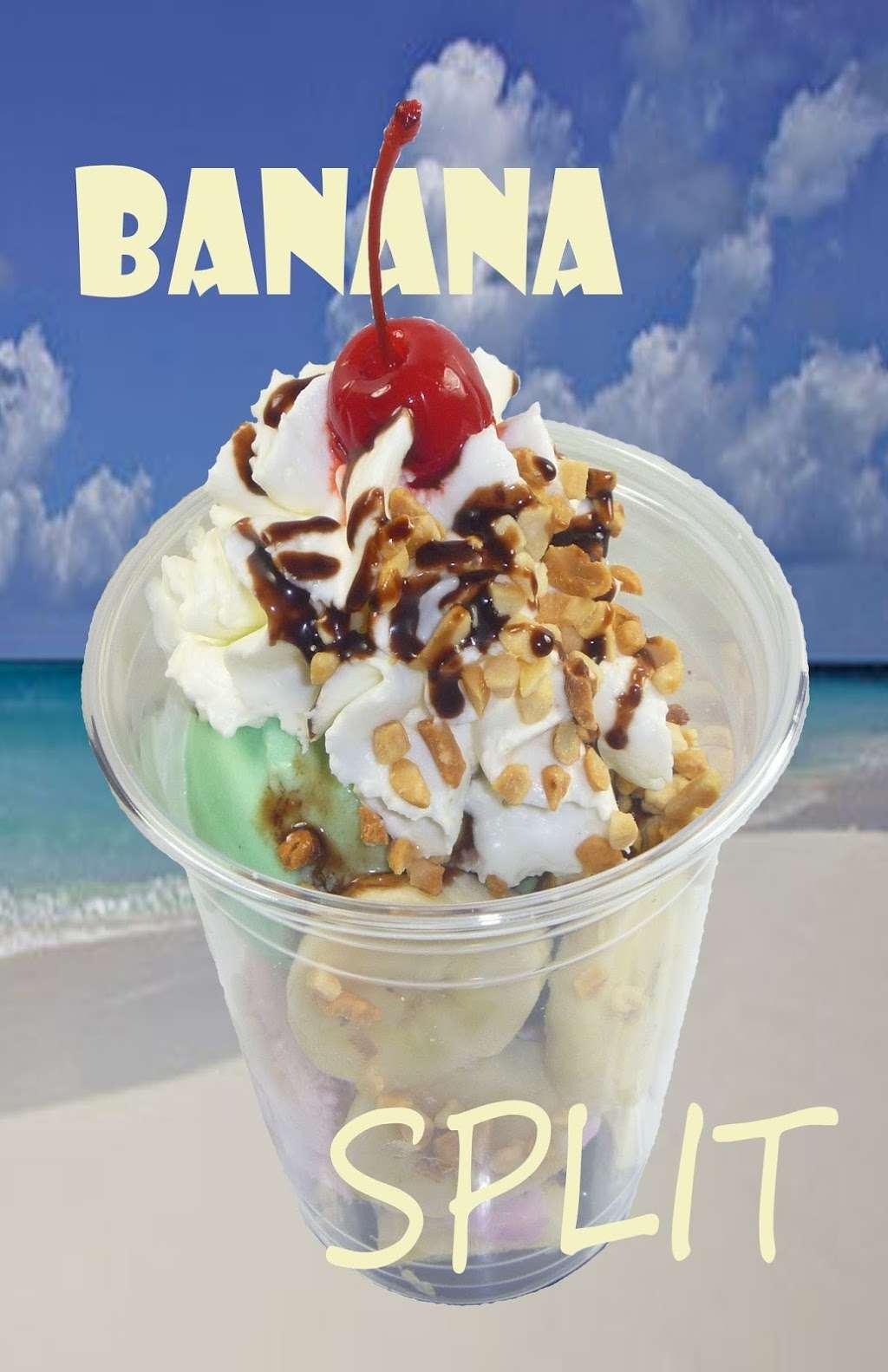 Edys Ice Cream | 600 N Surf Rd, Hollywood, FL 33019 | Phone: (954) 927-8593