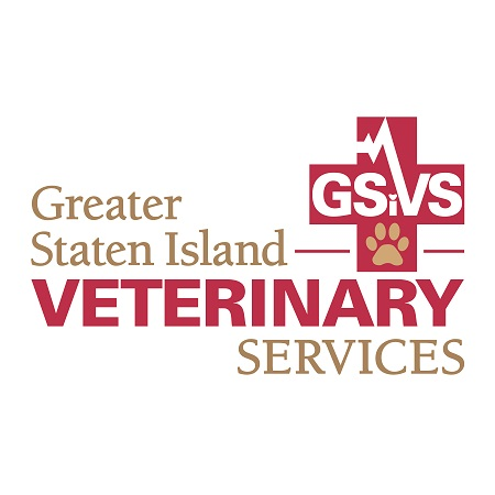 Greater Staten Island Veterinary Services - veterinary care  | Photo 7 of 7 | Address: 3135 Victory Blvd, Staten Island, NY 10314, USA | Phone: (917) 830-1380