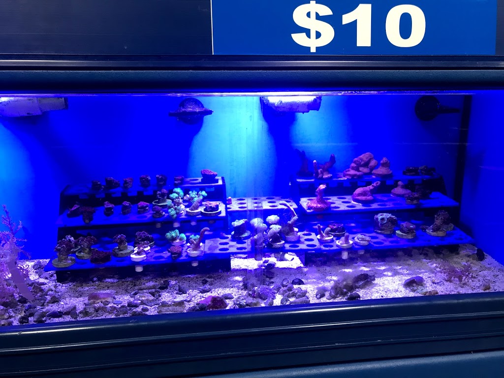 Aquatic Supply & Critters | 1913 Wildwood St, Boise, ID 83713, USA | Phone: (208) 914-1097