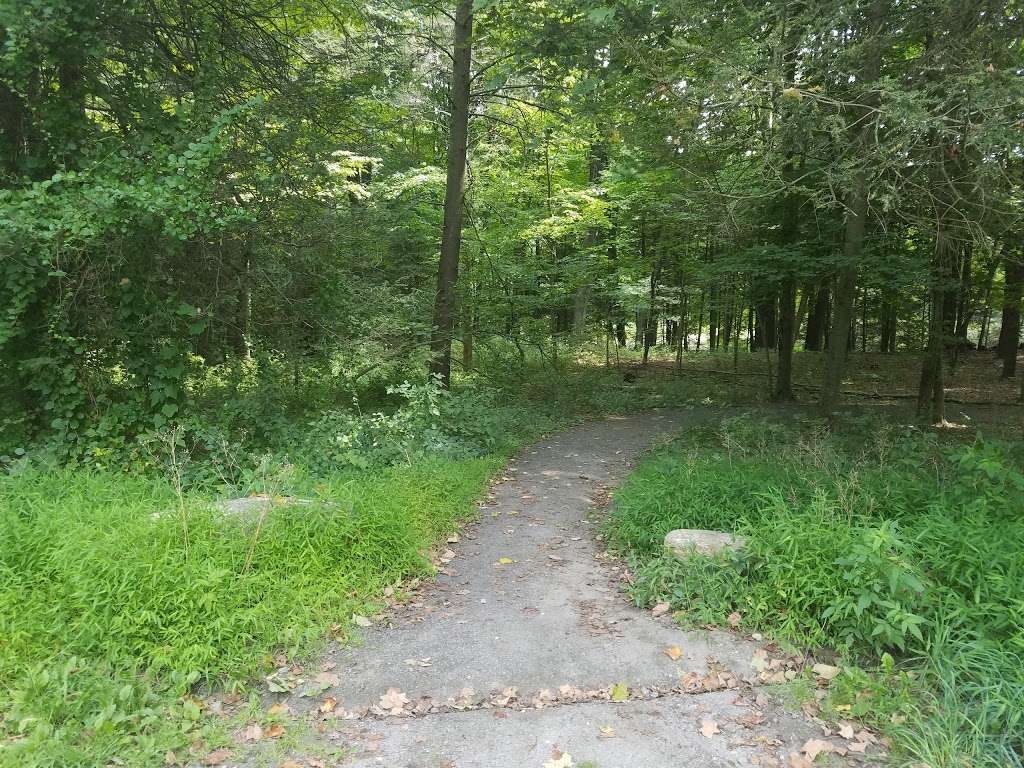 Saugatuck Universal Access Trail | 100-198 Newtown Turnpike, Redding, CT 06896