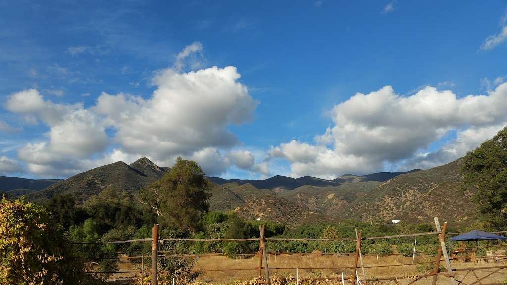 Earth Island Medicinal Herb Garden | 1098 McAndrew Rd, Ojai, CA 93023, USA | Phone: (805) 646-0693