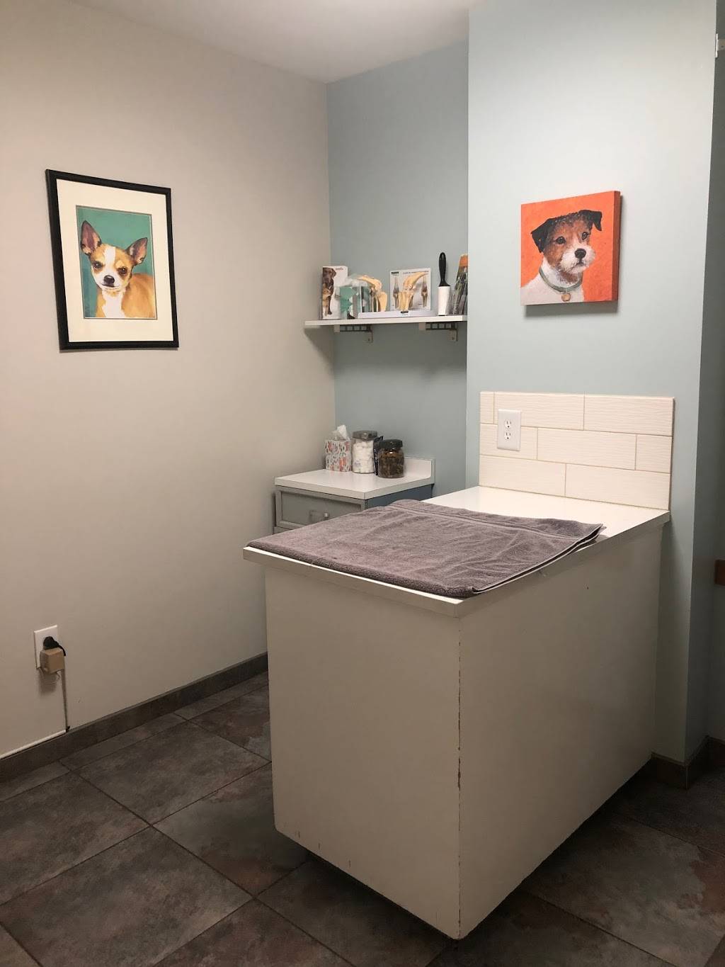 Madison Park Veterinary Hospital | 4016 E Madison St, Seattle, WA 98112, USA | Phone: (206) 324-4050