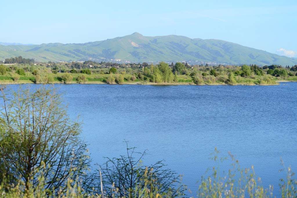 Quarry Lakes Regional Recreation Area | 2100 Isherwood Way, Fremont, CA 94536 | Phone: (510) 544-3130