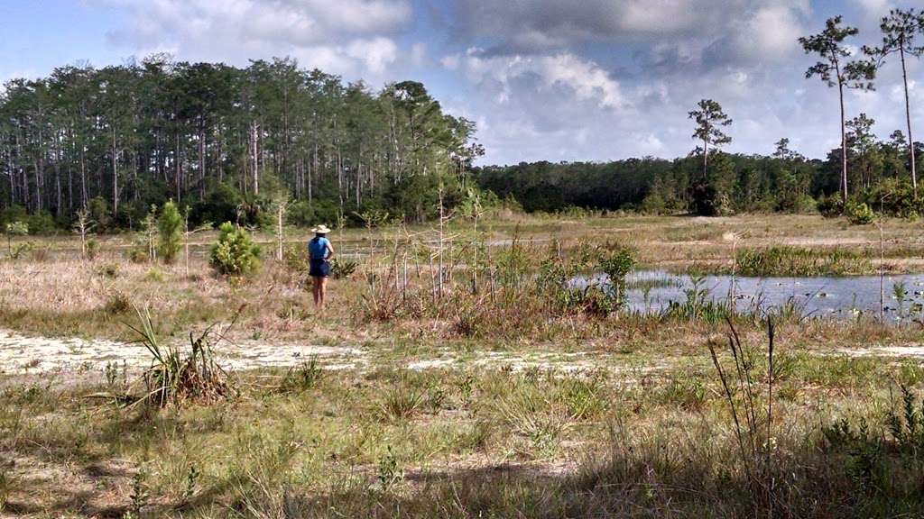 Loxahatchee River Natural Area | 2500 Jupiter Park Dr, Jupiter, FL 33478, USA | Phone: (561) 747-5700