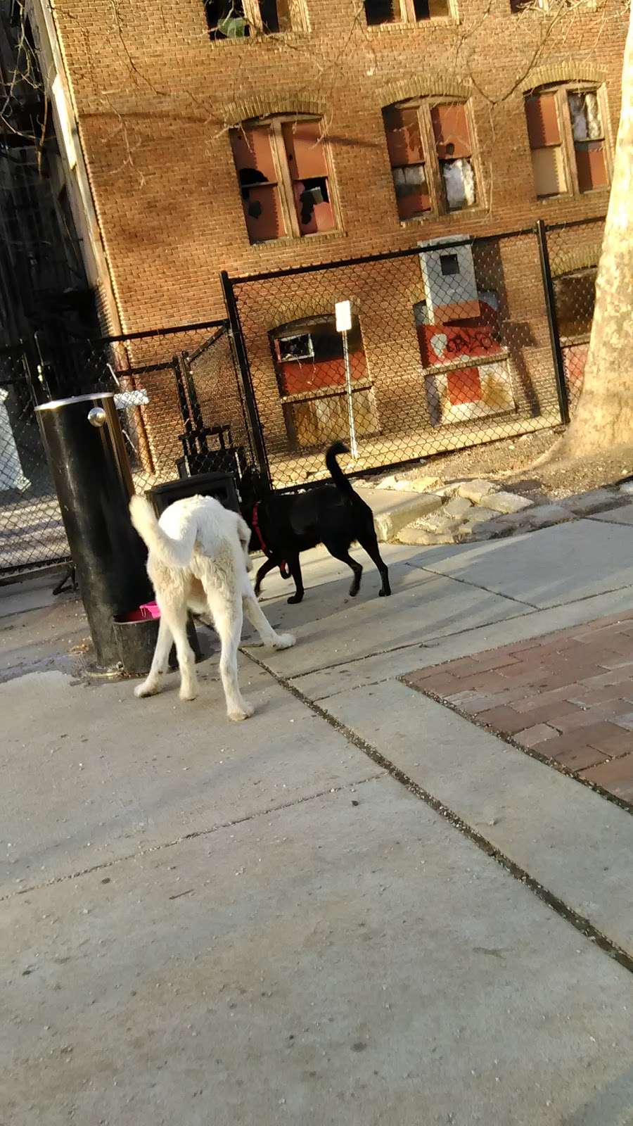 Howards Dog Park | 39°1747. 76°3714., 7 4th Ave, Baltimore, MD 21227
