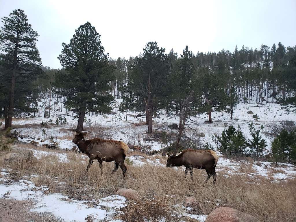 Hollowell Park | Bear Lake Rd, Estes Park, CO 80517, USA | Phone: (970) 586-1206