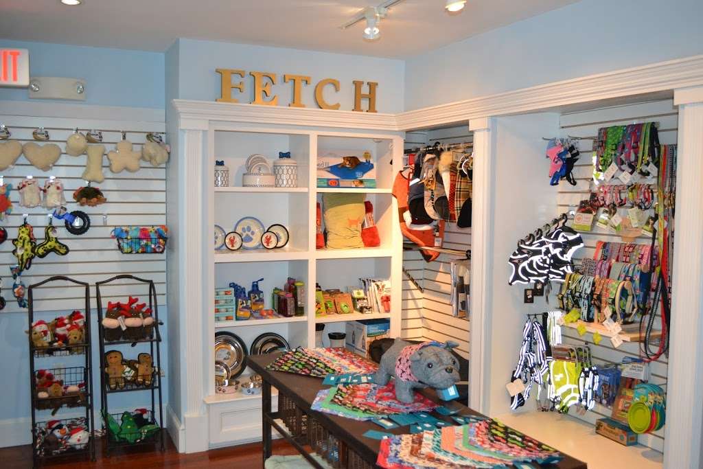 Fetch 02025 | 818 Chief Justice Cushing Hwy, Cohasset, MA 02025, USA | Phone: (781) 923-1364