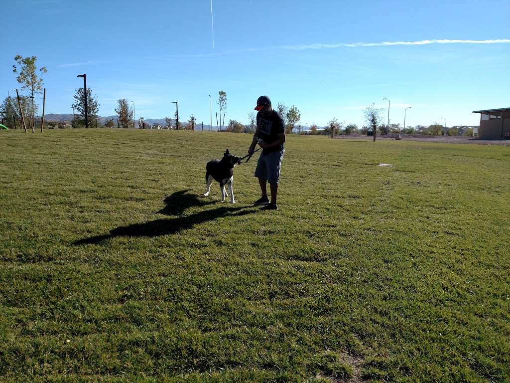 Central Park Public Pickleball Courts | Central Park, E Sunset Rd, Henderson, NV 89015, USA