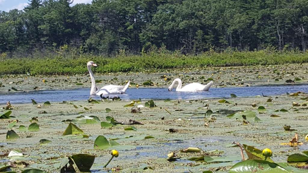 Crane Pond WMA | Georgetown, MA 01833, USA