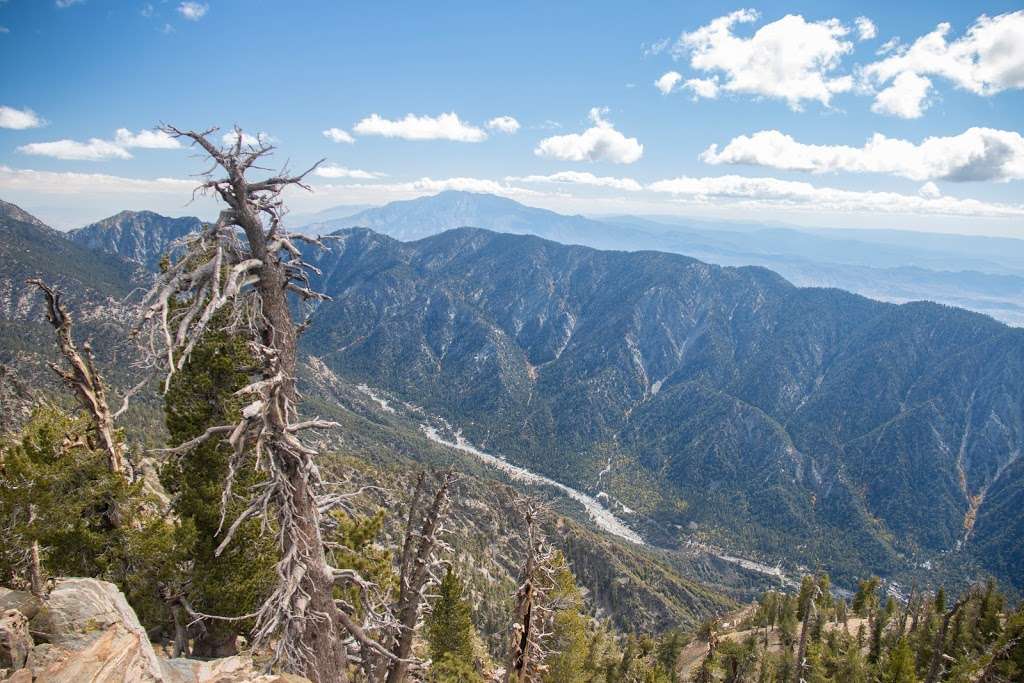 San Bernardino Peak Trail 1W07 | San Bernardino Peak Divide Trail, Angelus Oaks, CA 92305, USA | Phone: (909) 382-2882