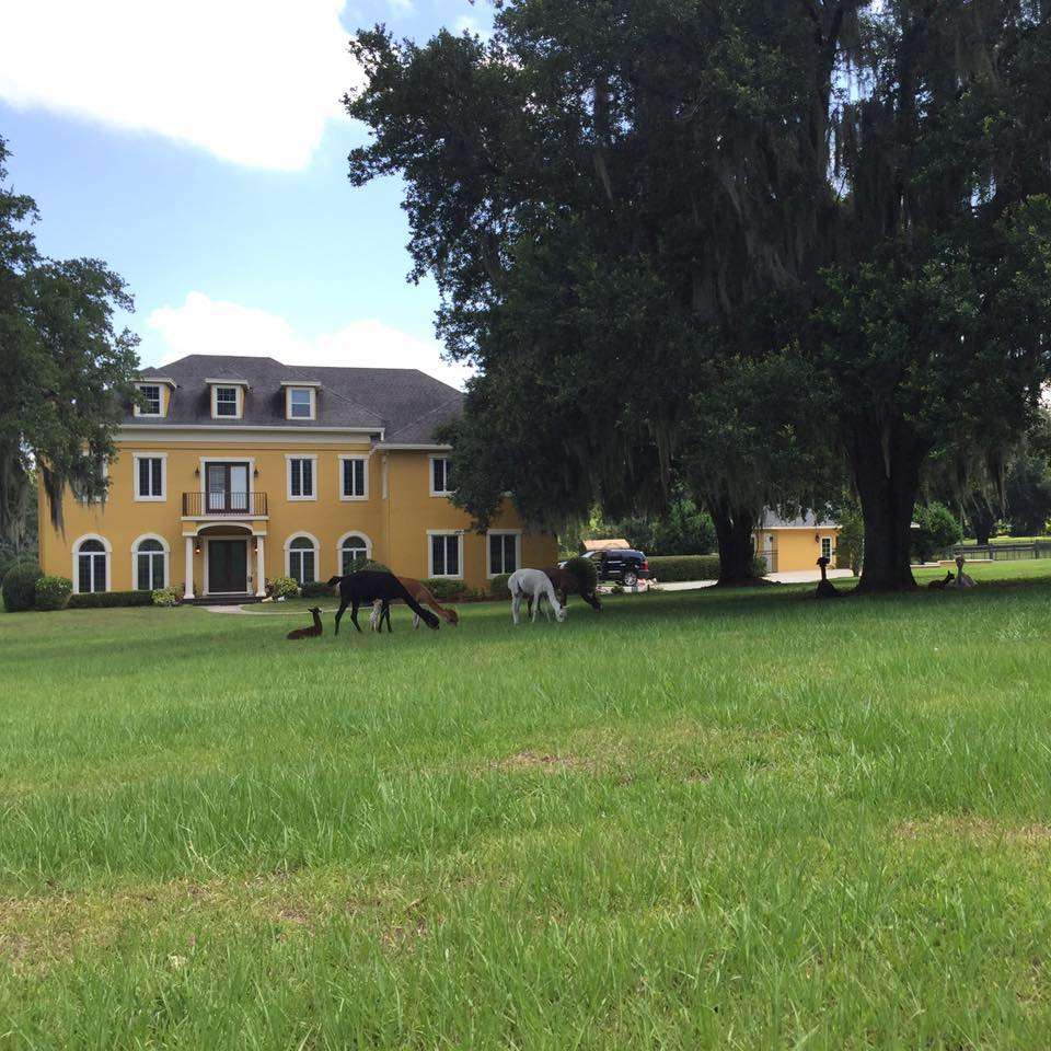 Lewman Acres Estate & Guest House | 3020 Crews Lake Dr, Lakeland, FL 33813, USA