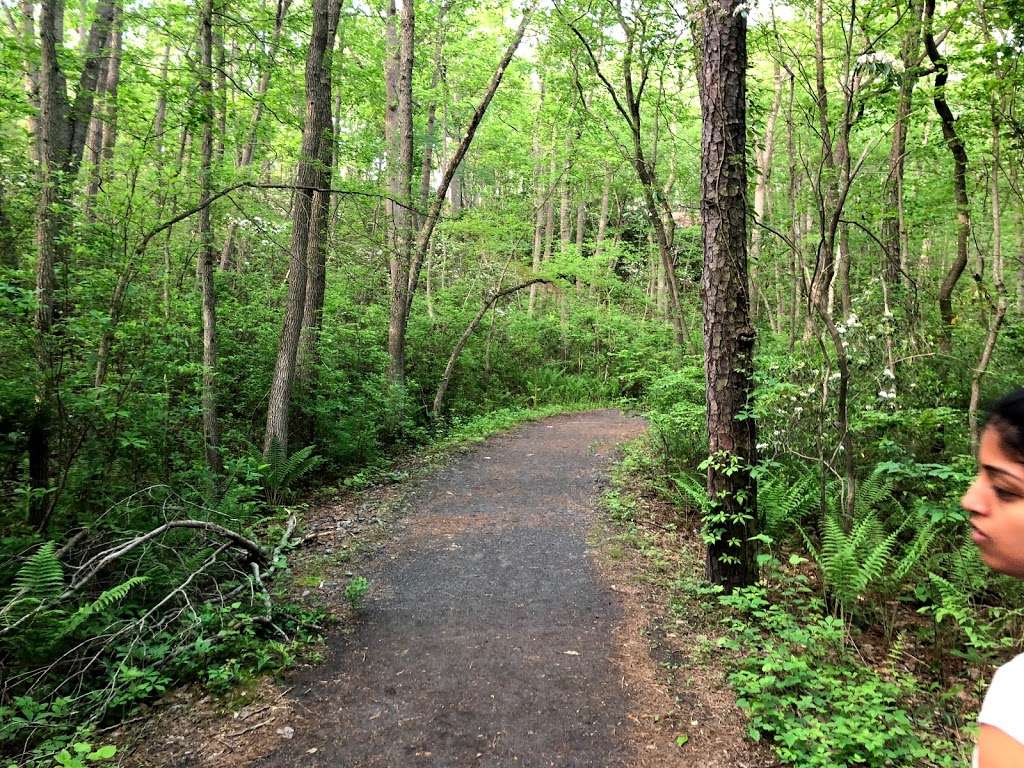 Quarry by Blueberry Hill Trail | Gibbsboro, NJ 08026