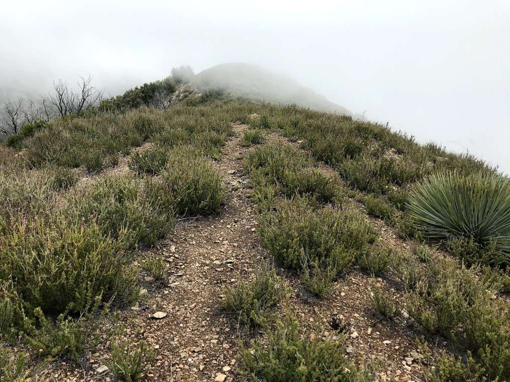 Brown mountain trail | Altadena, CA 91001, USA