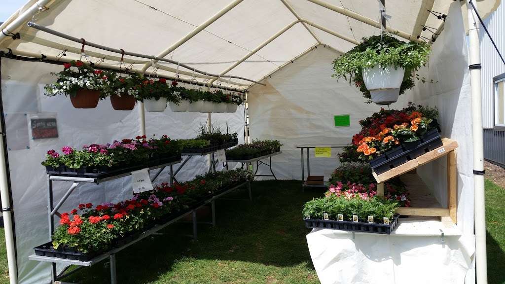 New Blooms Greenhouse | 3360 Strasburg Rd, Parkesburg, PA 19365, USA | Phone: (484) 787-9363