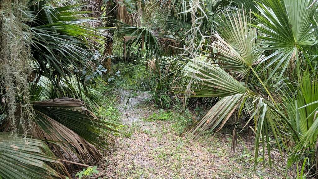 Black Water Camp | Wekiva River Rd, Sorrento, FL 32776, USA