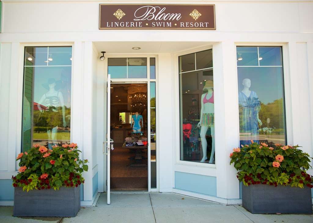 Bloom Lingerie and Swim Boutique | 132 Chief Justice Cushing Hwy, Cohasset, MA 02025, USA | Phone: (781) 923-1454
